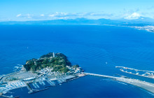 Tuyi Group Japan Co., Ltd.15