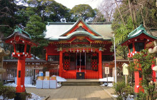 Tuyi Group Japan Co., Ltd.16