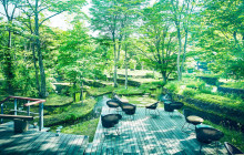 Tuyi Group Japan Co., Ltd.6