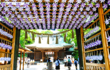 Tuyi Group Japan Co., Ltd.11