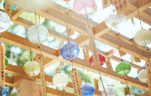 Tuyi Group Japan Co., Ltd.13