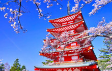 Tuyi Group Japan Co., Ltd.6