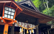 Tuyi Group Japan Co., Ltd.8