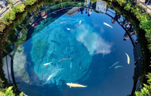 Tuyi Group Japan Co., Ltd.10