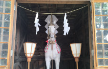 Tuyi Group Japan Co., Ltd.13