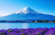 Tuyi Group Japan Co., Ltd.14