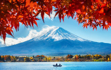 Tuyi Group Japan Co., Ltd.8