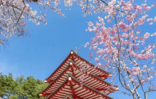 Tuyi Group Japan Co., Ltd.11