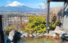 Tuyi Group Japan Co., Ltd.13