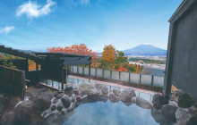 Tuyi Group Japan Co., Ltd.14