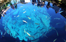 Tuyi Group Japan Co., Ltd.15