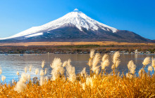 Tuyi Group Japan Co., Ltd.6