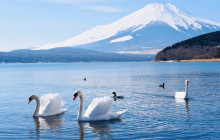 Tuyi Group Japan Co., Ltd.7