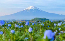 Tuyi Group Japan Co., Ltd.8