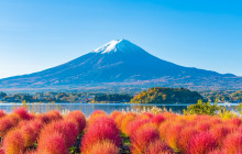 Tuyi Group Japan Co., Ltd.9