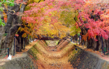 Tuyi Group Japan Co., Ltd.10