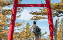 Tuyi Group Japan Co., Ltd.11