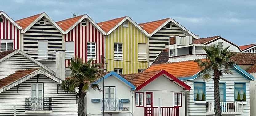Small Group Aveiro & Coimbra With a Cruise in Ria de Aveiro