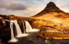 Your Friend in Reykjavik1