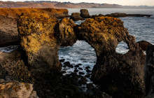 Your Friend in Reykjavik5