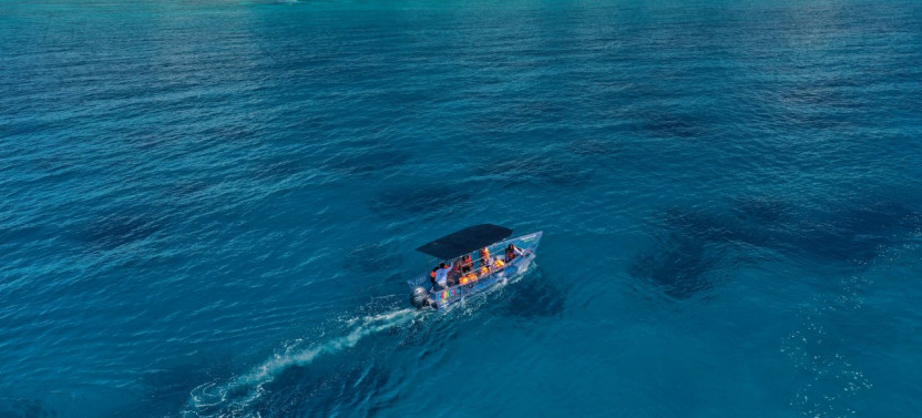Invisible Boats, Reef & Wreck