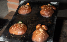 Paraiso Huatulco DMC24