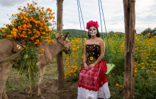 Paraiso Huatulco DMC33