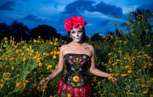 Paraiso Huatulco DMC35