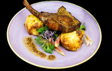 Silverline Cruises Kft.5