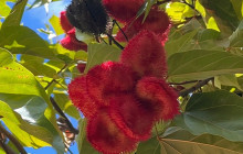 COASTLINE TOURS AND TRAVEL19