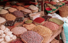 COASTLINE TOURS AND TRAVEL20