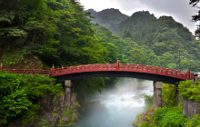 Tuyi Group Japan Co., Ltd.7