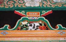 Tuyi Group Japan Co., Ltd.8