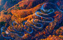 Tuyi Group Japan Co., Ltd.10