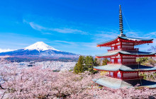 Tuyi Group Japan Co., Ltd.7