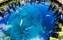 Tuyi Group Japan Co., Ltd.9