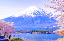 Tuyi Group Japan Co., Ltd.8