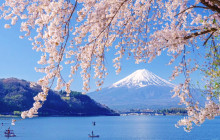 Tuyi Group Japan Co., Ltd.9