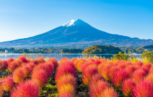 Tuyi Group Japan Co., Ltd.10