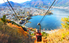 Tuyi Group Japan Co., Ltd.13