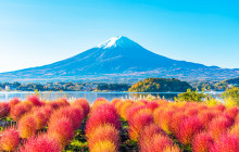 Tuyi Group Japan Co., Ltd.7