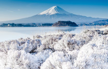 Tuyi Group Japan Co., Ltd.8