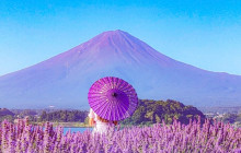 Tuyi Group Japan Co., Ltd.9