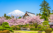 Tuyi Group Japan Co., Ltd.10