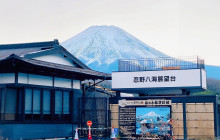 Tuyi Group Japan Co., Ltd.11