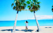 Tuyi Group Japan Co., Ltd.9