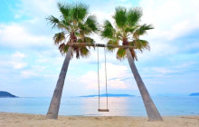 Tuyi Group Japan Co., Ltd.10