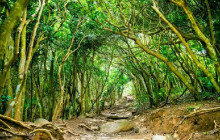 Tuyi Group Japan Co., Ltd.12