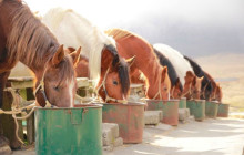 Tuyi Group Japan Co., Ltd.9