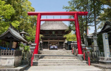 Tuyi Group Japan Co., Ltd.11